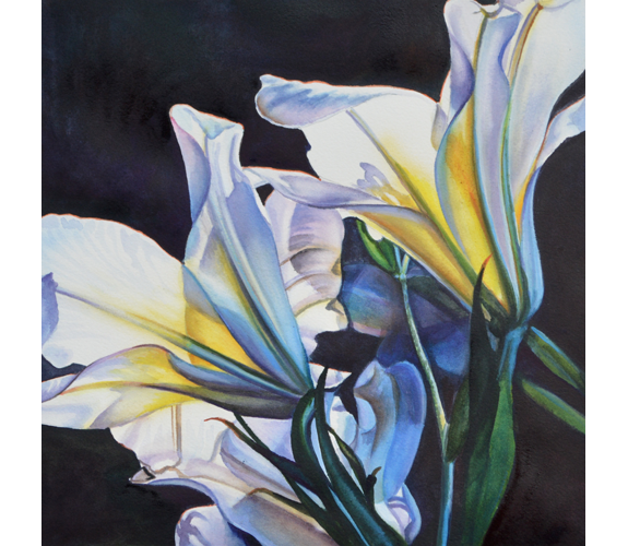 "Luminous Lilies by Beverly Fotheringham